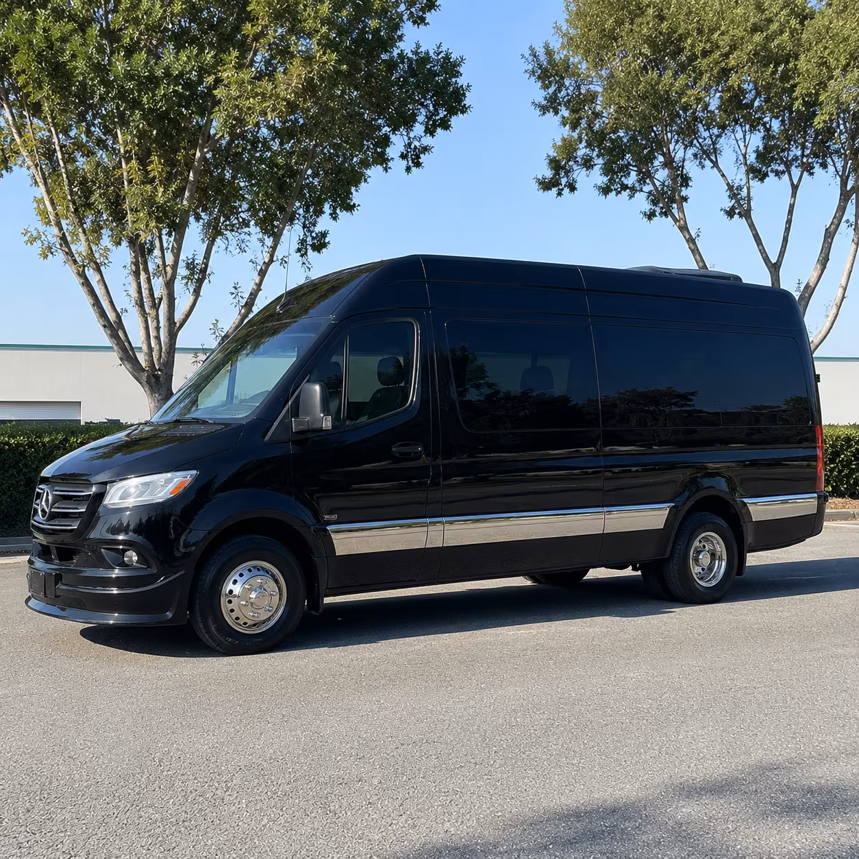 League City Prom Transportation